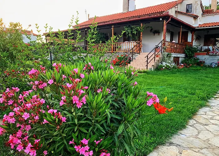 Ivonnis Garden