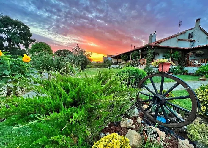 Ivonnis Garden