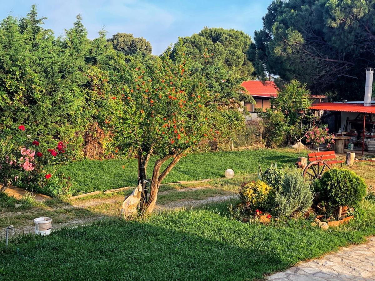 Ivonnis Garden Holiday home