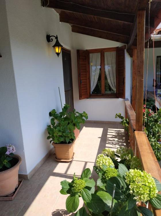 Ivonnis Garden *