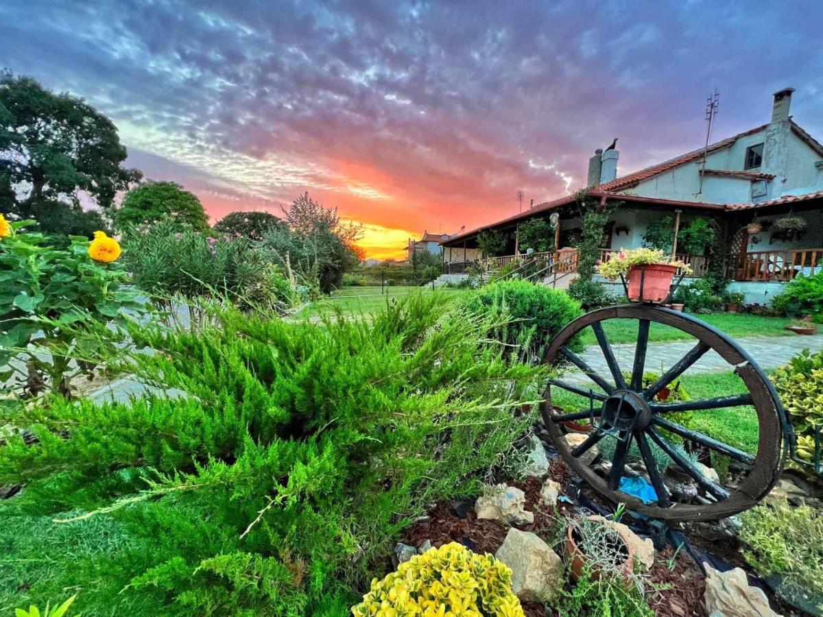 Ivonnis Garden * Mesimvria (Evros)
