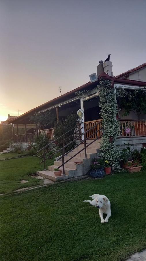 Holiday home Ivonnis Garden *