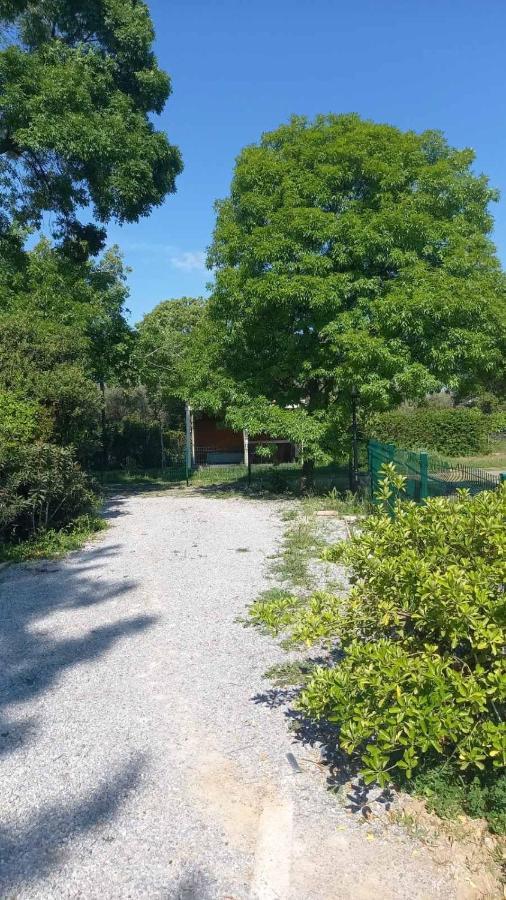 Ivonnis Garden Holiday home *