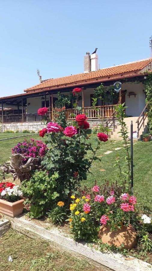Holiday home Ivonnis Garden