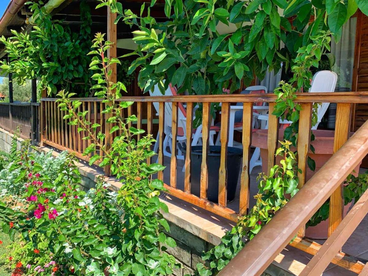 Holiday home Ivonnis Garden *