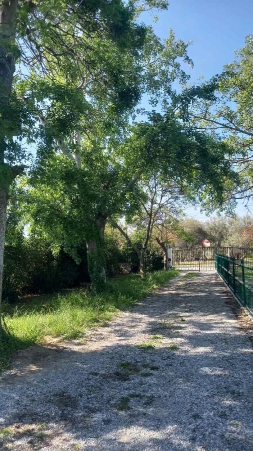 Ivonnis Garden Holiday home Mesimvria (Evros)