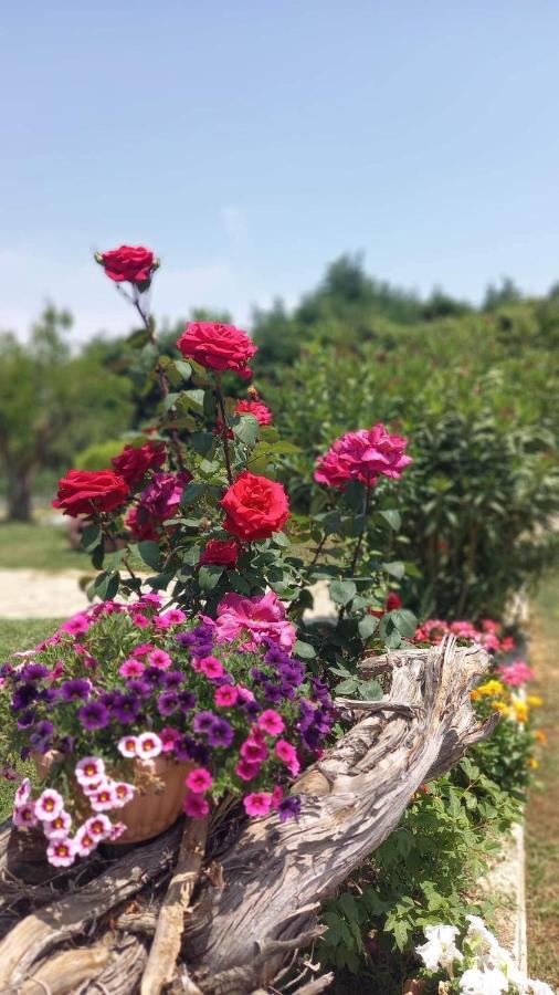 Ivonnis Garden *