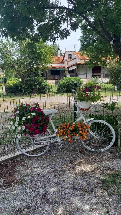 Holiday home Ivonnis Garden *