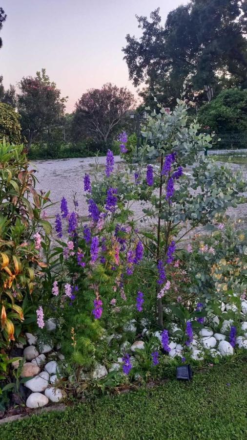 Ivonnis Garden Mesimvria (Evros)
